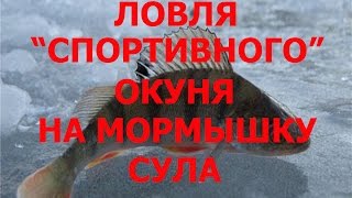 СУПЕР РЫБАЛКА!!! ЛОВЛЯ