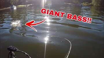 This Topwater Blowup Was INSANE! (New Pymatuning PB!!)