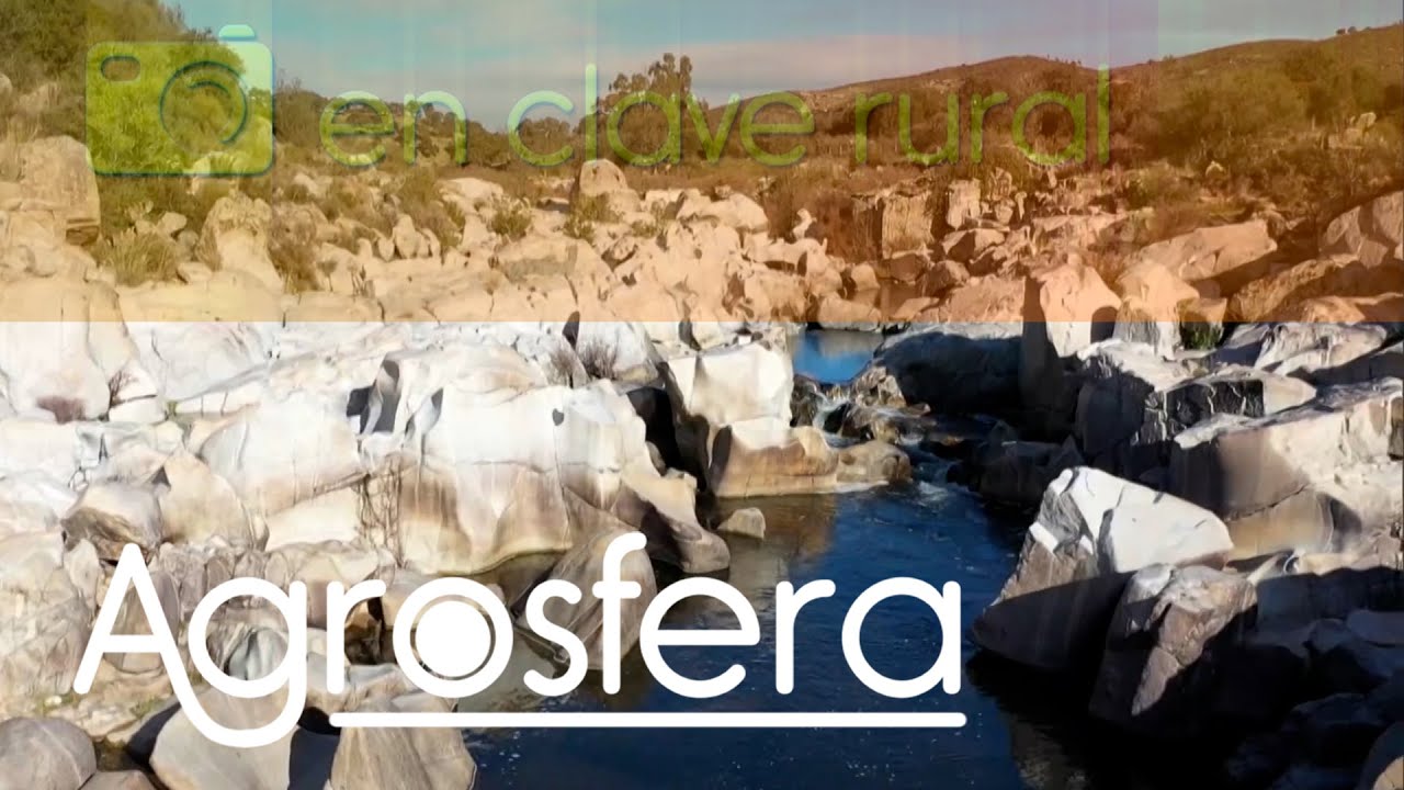 Turismo Rural El Ronquillo / Sevilla | Agrosfera