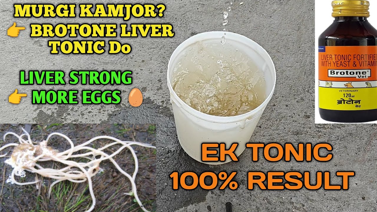 Brotone Liver Tonic Dene Ka Sahi Tarika | Poultry Tips | Egg Production ...