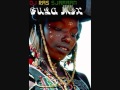 Fula, Fulani, Fulbe, Pël, Peul, Fulaw music mix by DJ Ras Sjamaan