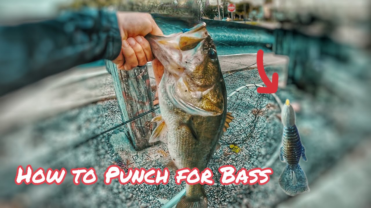 How to Catch Big Fish Punching for Bass