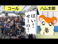 ハム太郎コールの元ネタについて解説