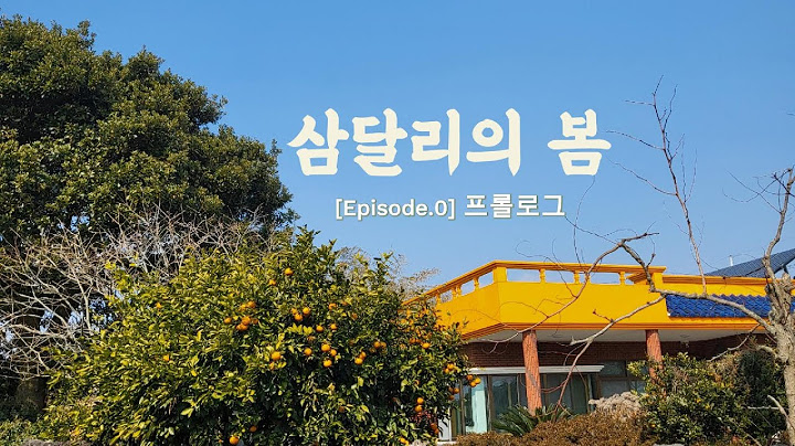 제주 삼달리의 봄 [episode 0] 프롤로그