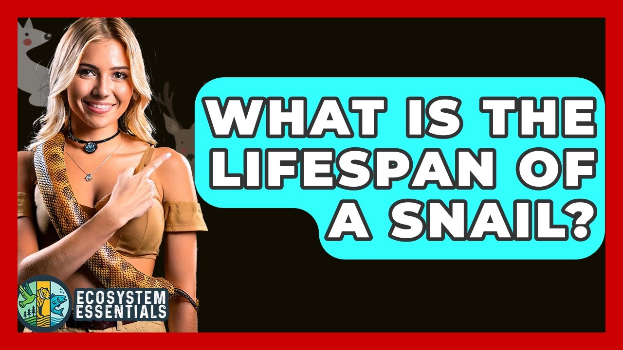 What Is The Lifespan Of A Snail? - Ecosystem Essentials