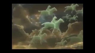 Taxmeni-  Nebeští jezdci