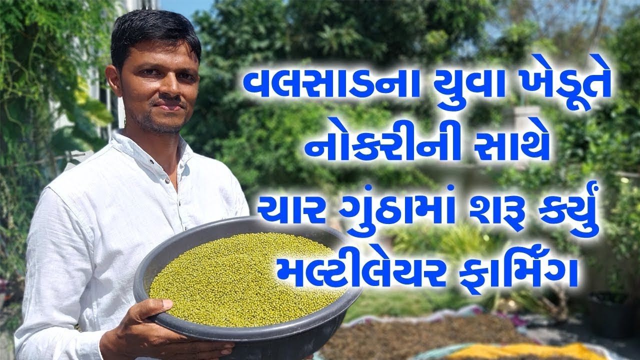 Multilayer Farming | Valsad | Hitesh Patel | Natural Farming | વલસાડના ખેડૂતે નોકરી સાથે ખેતી અપનાવી