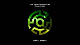 Obie Fernandez Pres KNBI - Concentration (Extended Mix) Trance 2024