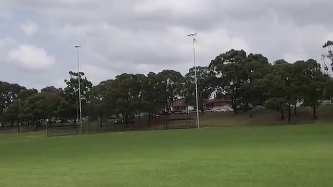 SAB 380 TRIBLADE HPS3 HEAD