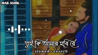 Tui Ki Amar Hobi Re 🍁🍁 ( তুই কি আমার হবি রে) Imran & Kona [ slowed   reverb ] Lofi 🎧🙏