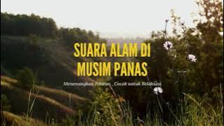 Suasana di MUSIM PANAS | Suara Alam yang sangat menenangkan | Nuansa Santuy