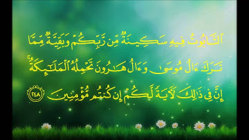 سورة البقرة (الآية 246 ~ الآية 252) - ماهر بن حمد المعيقلي
