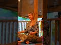 200 Hour Yin Yoga Teacher Training in Bali | Bali Yoga School
