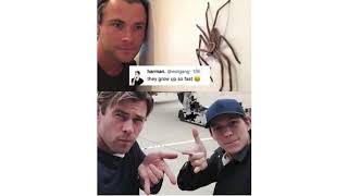 Marvel Memes Only REAL FANS Get