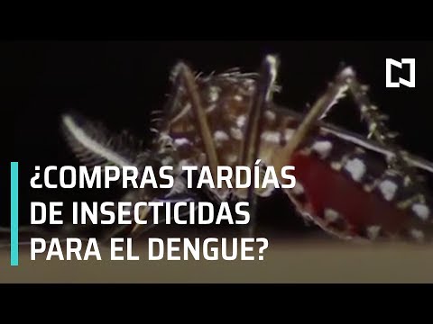 Vídeo: La Gran Isla De Hawái Se Encuentra En Estado De Emergencia Debido Al Dengue. Aquí Está Lo Que Los Viajeros Necesitan Saber. - Red Matador