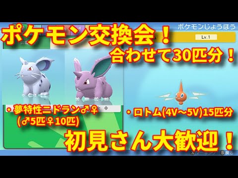 初見さん大歓迎 ゲリラポケモン交換会やります ロトム 夢特性ニドラン 出します ポケモンbdsp Youtube