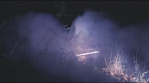 Chacho – I went to the forest (Official Video)