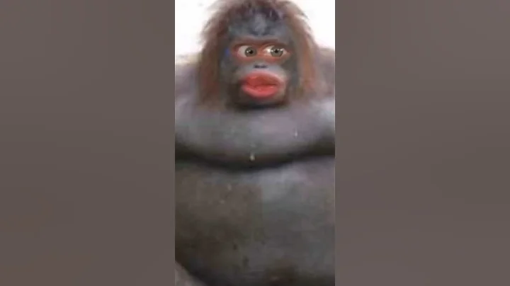 Don’t Laugh #Filter (Part 2)