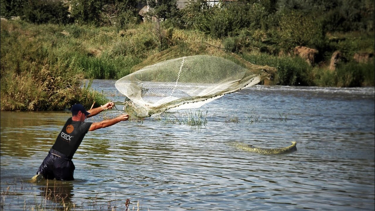 Wels Mit Wurfnetz Fangen Youtube