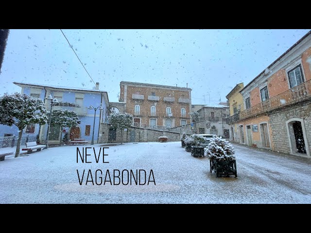 Neve vagabonda