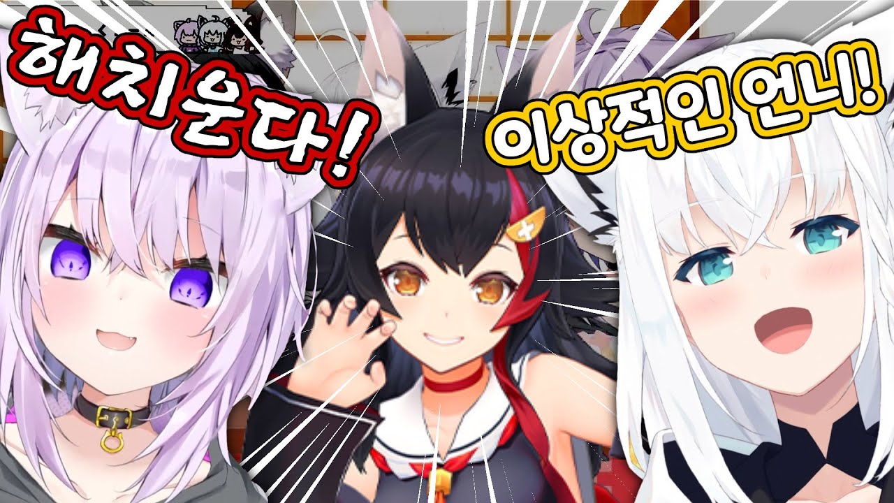 언니의 자리를 위협하는 존재를 제거하려는 오카유 [홀로라이브/네코마타 오카유/시라카미 후부키/오오카미 미오]