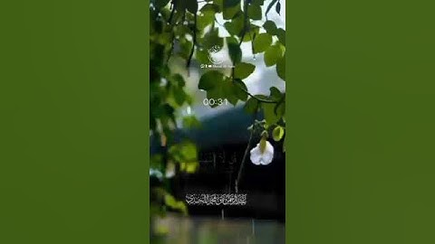 تلاوة خاشعة من سورة الأنعام بصوت القارئ عبدالرحمن بن محمد المجيدي حفظه الله