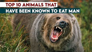 Top 10 Animals That Have Been Known To Eat Man
