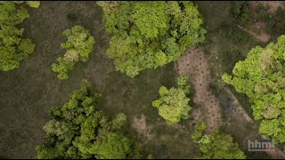 Dispersión de semillas y fragmentación del hábitat | Video HHMI BioInteractive by biointeractive 903 views 8 months ago 8 minutes, 3 seconds