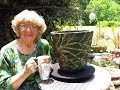 How To Make A Beautiful Old Tree flower Pot in Ga.  U. S. A.