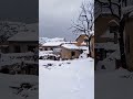 snowing here in my yard short video