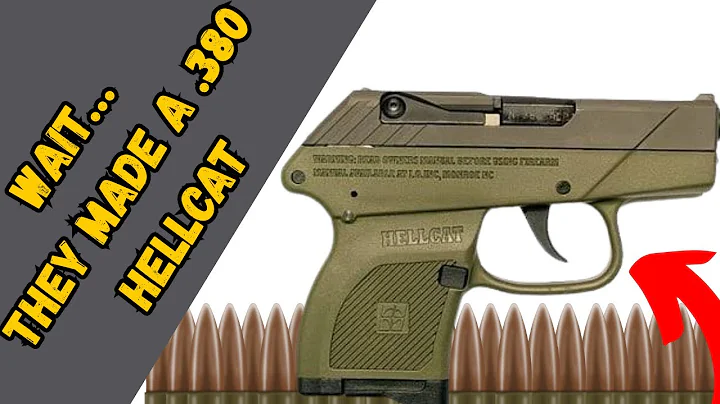 Hellcat .380 Review – Is It Better Than the 9mm? Real Test & Comparison!