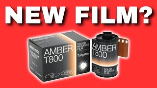 Is Amber T800 Film Any Good? Sample Photos