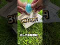 傘テント　秘密基地