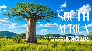 South Africa Cinematic Travel Journey  Table Mountain, Kruger, Kgalagadi, Sodwana Bay &amp; De Hoop