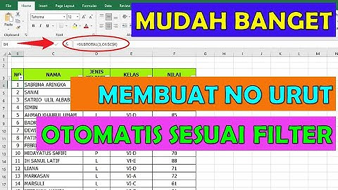 Cara Membuat Nomor Urut Otomatis Setelah di Filter Pada EXCEL