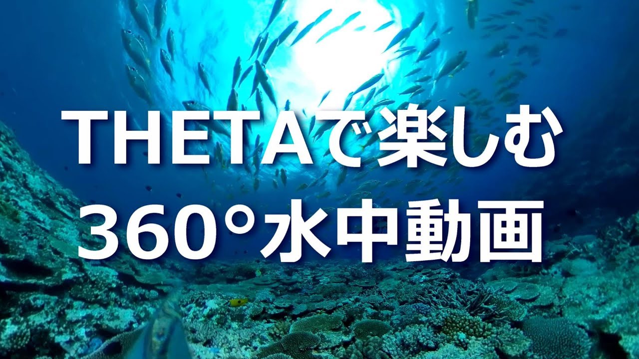 Thetaで楽しむ360 水中動画 Youtube