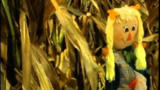 Picha's Pumpkin Patch