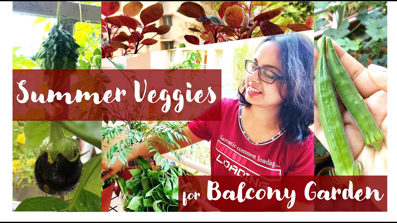 What To Grow In Balcony Garden During Summer Balcony Vegetable Garden what-to-grow-in-balcony-garden-during-summer-balcony-vegetable-garden