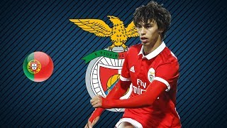 JOAO FELIX | SL Benfica | Goals, Skills, Assists | 2017/2018 (HD)
