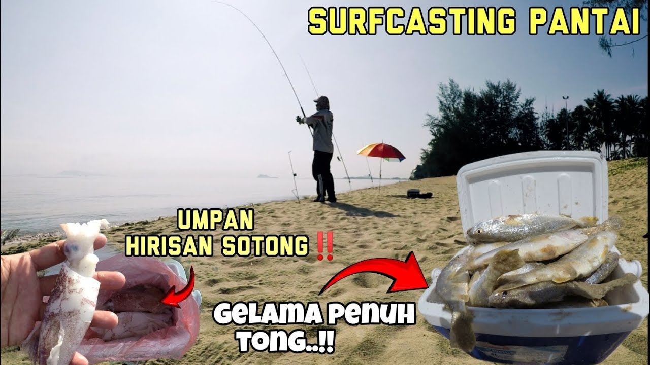 Surfcasting pantai | Strike gelama sampai penuh tong lagi !