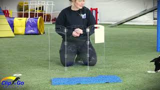 Introducing the Clip and Go Agility Clearway Training Panel to Your Dog #dogagilitytraining