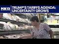 Uncertainty with Trump's tariff agenda grows in US