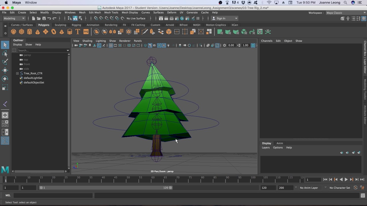 Week 14 Low Poly Tree Rigging, Animation, and Bake Animation - YouTube