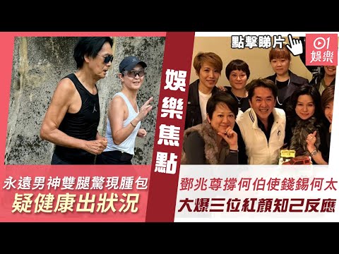 【好看的电视剧】情祸 41｜家中年轻保姆勾引老板，荣蓉遭受情祸忍无可忍选择离婚