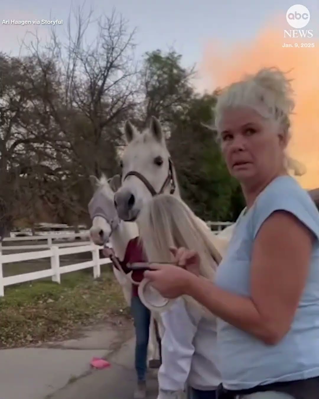 Horses evacuated from path of Kenneth Fire in California