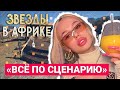 ПОЧЕМУ ИНСТАСАМКА НЕ ПОЕДЕТ НА ШОУ «ЗВЕЗДЫ В АФРИКЕ»