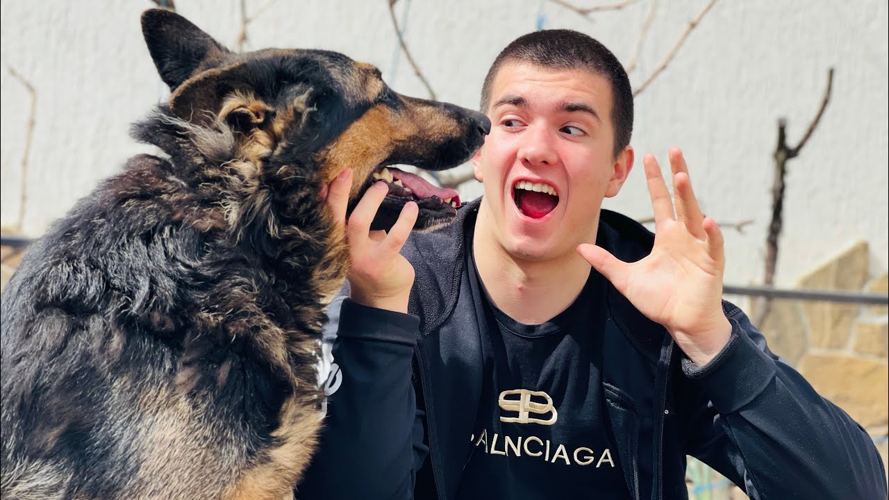 ������� �������-����������: ����.