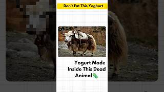 Is Curd Really Vegetarian? The Shocking Truth Revealed!#shorts