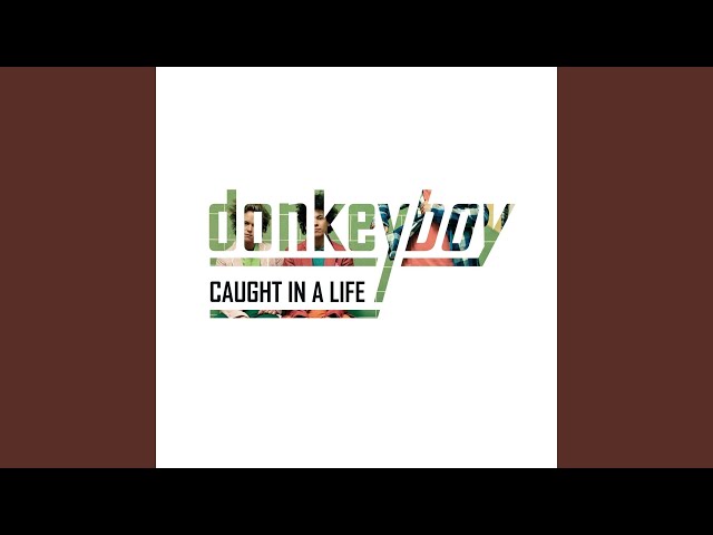 Donkeyboy - Stereolife