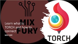 Learn what is TORCH and how to connect  | MIX FURY screenshot 2